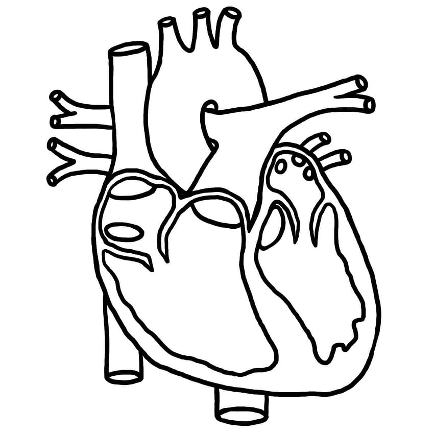Love heart॥ creative heart pencil drawing💖 - YouTube