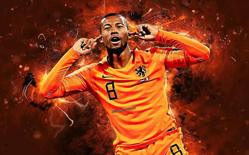 Georginio Wijnaldum, goal, Netherlands HD wallpaper | Pxfuel