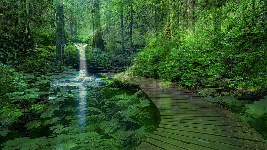 Peaceful Nature HD wallpaper