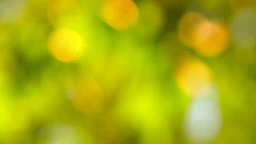 Natural background, blurred tree in golden light with bokeh. Stock,  background natural HD wallpaper | Pxfuel
