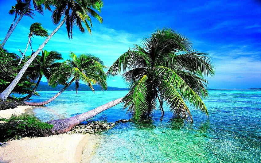 Tropical Beaches HD wallpaper | Pxfuel