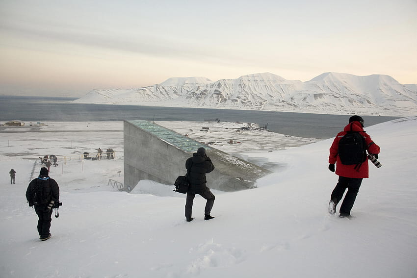 Doomsday Vault' opens to retrieve seeds for Syria HD wallpaper