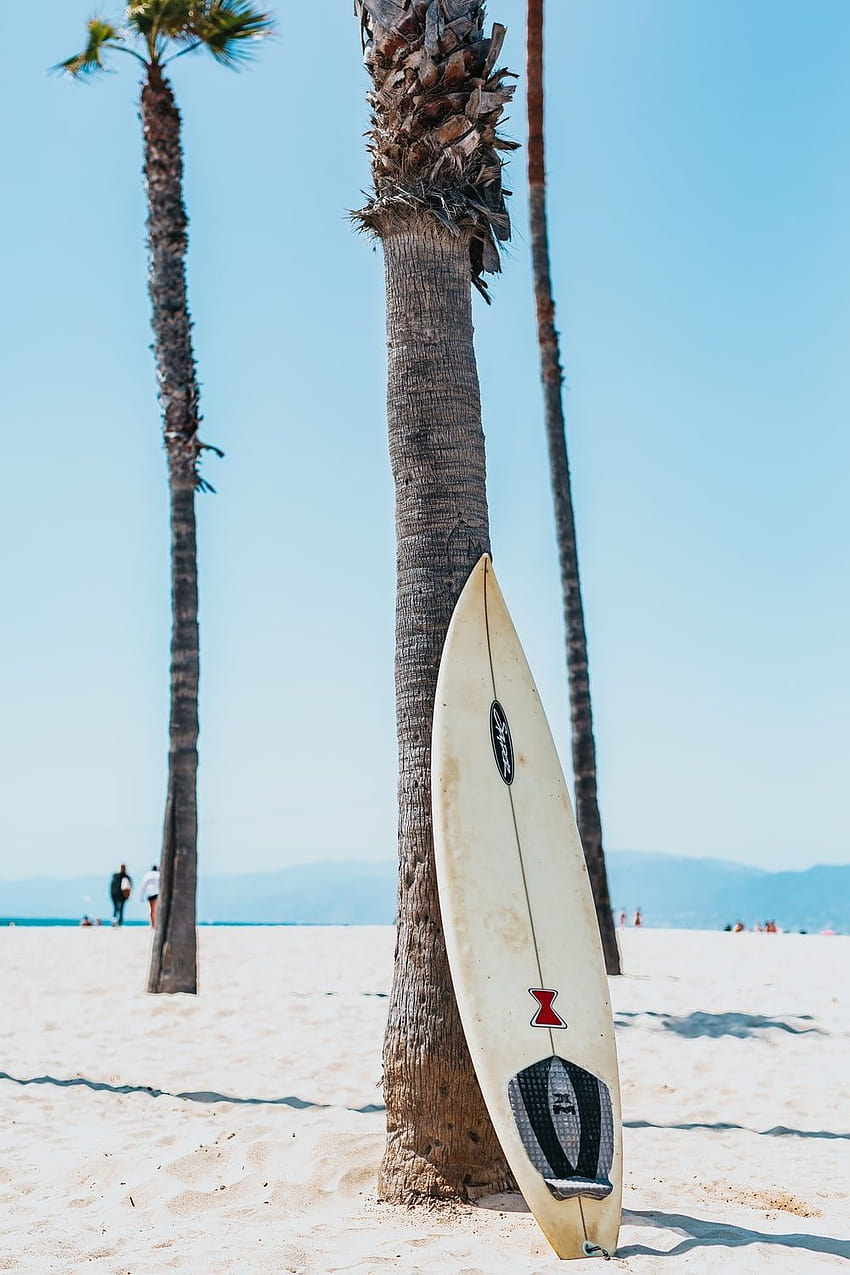 surfboard aesthetic HD phone wallpaper