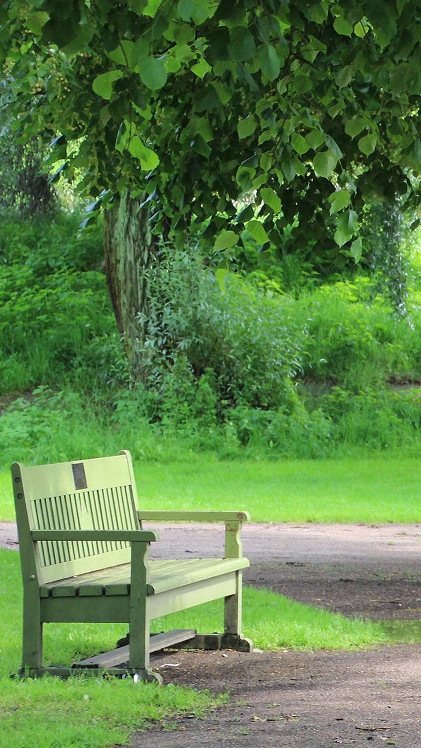 Summer park bench iPhone homescreen backgrounds nature lock screen phone, summer bench HD phone wallpaper