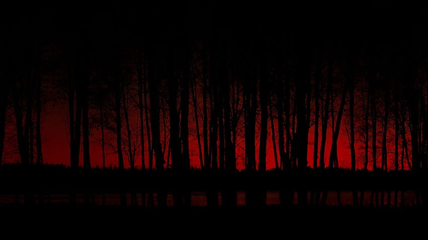 Scary Dark Forest 64316 1920x x, тъмночервен компютър HD тапет