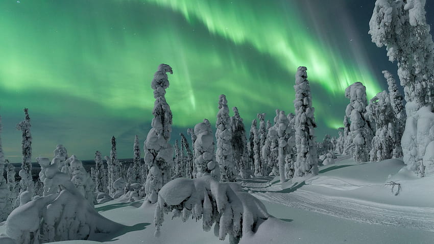 8 Tempat Terbaik untuk Melihat Cahaya Utara di Lapland, lapland musim dingin Wallpaper HD