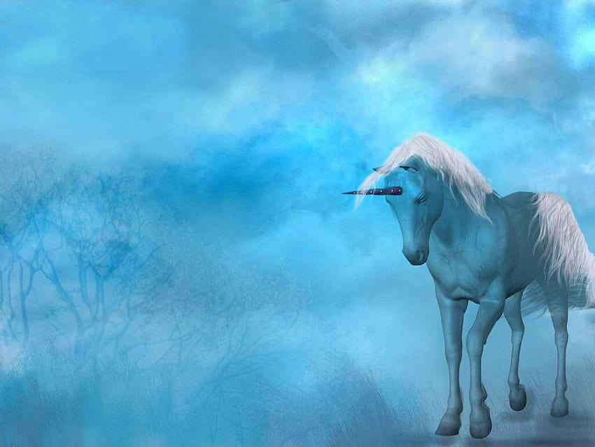 5415186 / unicorn for computer, blue unicorn HD wallpaper