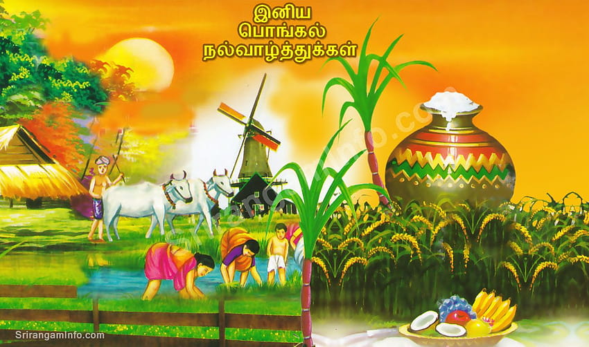 Tamil pongal HD wallpapers | Pxfuel