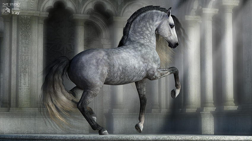 CWRW Dapple Gray for the HiveWire Horse, 데플 그레이 호스 HD 월페이퍼
