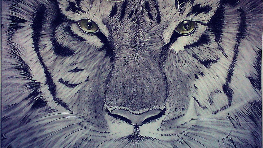 fantasy, Art, Artwork, Tiger, Predator, Carnivore, Cat, tiger wildlife artwork HD wallpaper