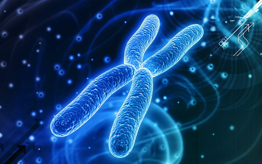 DNA-Gruppe, Chromosom HD-Hintergrundbild