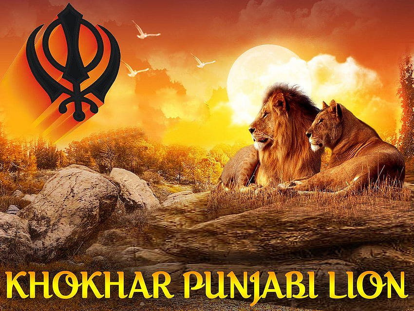 Khokhar lions's most interesting Flickr, lion khalsa HD wallpaper | Pxfuel