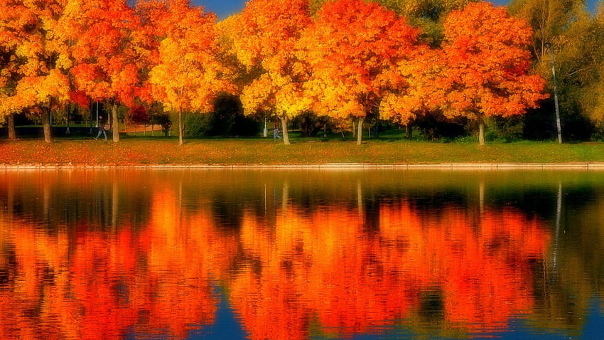 Fall Colors Reflection on GreePX, reflections trees HD wallpaper | Pxfuel