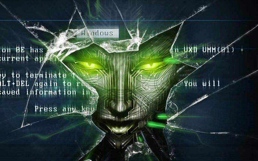 Hacker de código informático Hacker de código, cráneo de hacker verde fondo de pantalla
