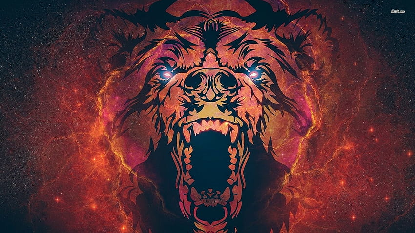 Angry bear HD wallpapers  Pxfuel
