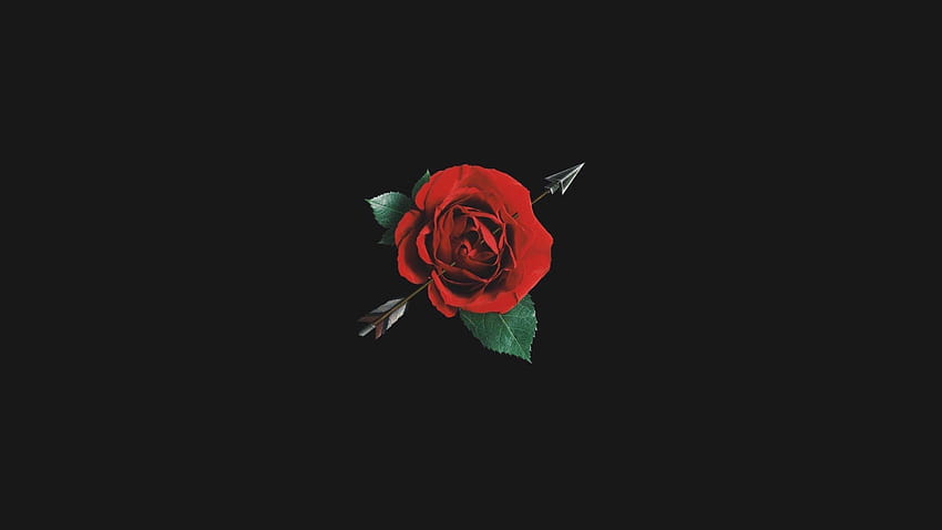 Dark Aesthetic Rose Blurry Rose [2200x3300] pour votre, mobile et tablette, fleurs pc esthétiques noires Fond d'écran HD