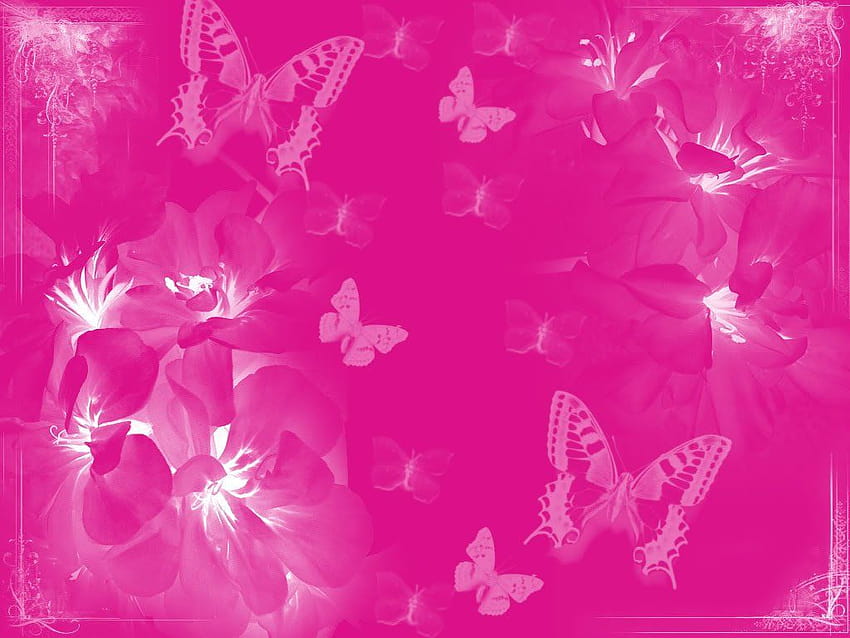 Pink Butterfly Pink butterflies graphics code [1024x768] for your , Mobile & Tablet HD wallpaper