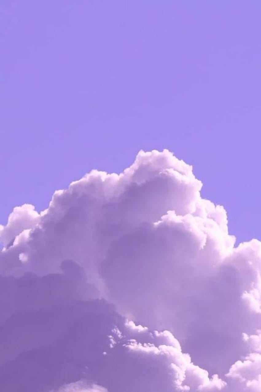 1290x2796px, 2K Free download | Light Purple Wall Collage 50 Room ...