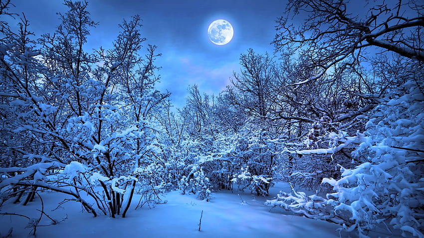 Earth Winter Moon • GameP、冬の地球 高画質の壁紙