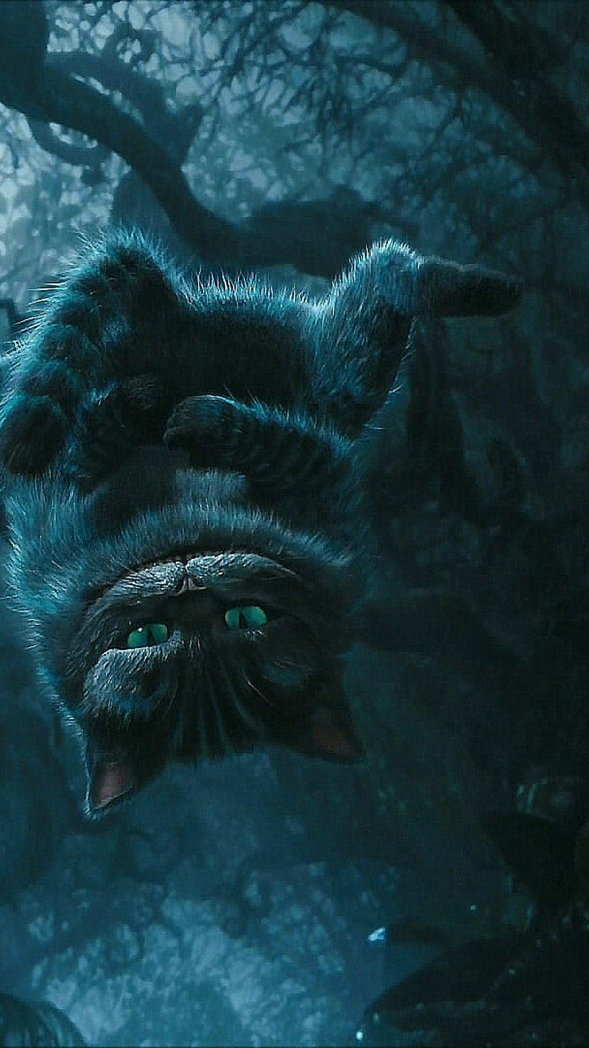 Gato de Cheshire, gato alicia fondo de pantalla del teléfono