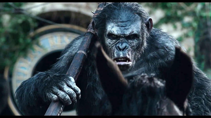 Dawn Of The Planet Of The Apes Koba, guerre pour la planète des singes Fond d'écran HD