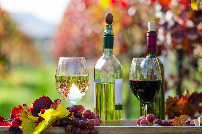 Herbst, Früchte, Herbstpracht, Herbst, Flaschen, Bokeh, Gläser, Wein, Weinflaschen HD-Hintergrundbild