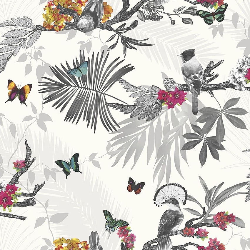 4 Birds and Butterflies HD phone wallpaper