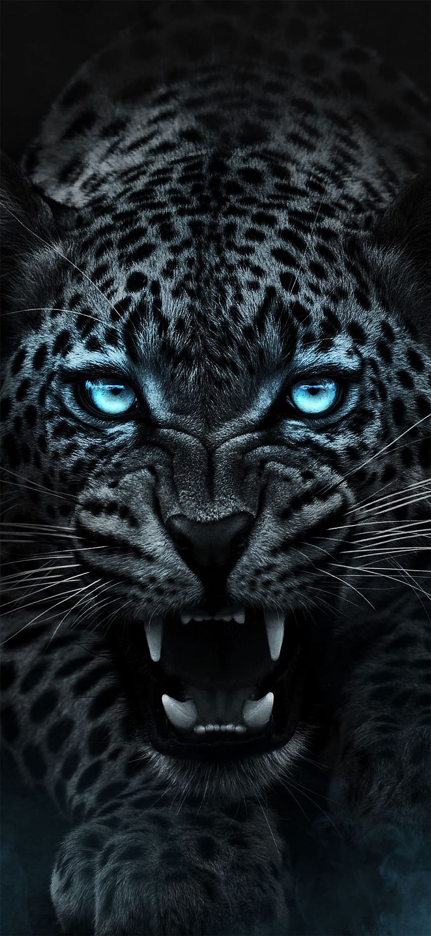 Leopard Wallpaper 4K, Wild animal, Dark background