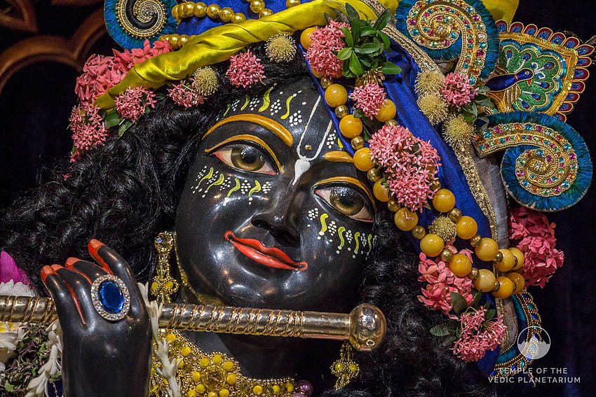 Sri Mayapur Dham Merayakan Penampakan Tuhan Krishna Wallpaper HD
