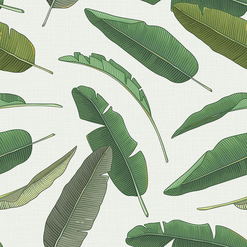 Banana Leaf, tropical leaf HD phone wallpaper | Pxfuel