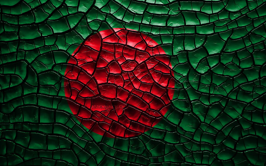 Bangladesh flag for mobile HD wallpaper | Pxfuel
