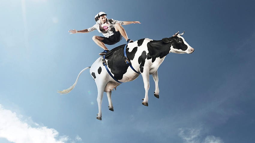Behold the flying cow HD wallpaper