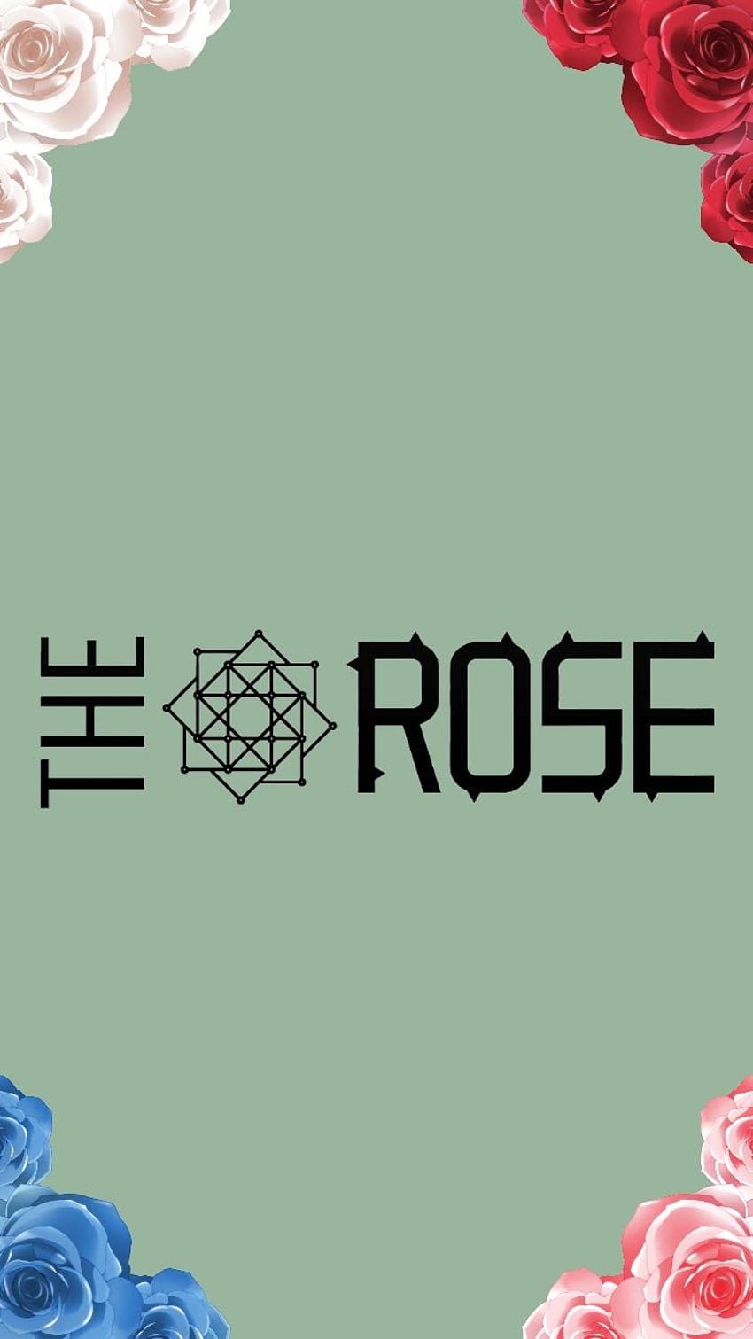 The Rose /lockscreen : Black rose = Fans : White rose = Woosung/Sammy : Red rose = Dojoon : Blue rose = Hajoon : Pink rose = ジェヒョン、the rose kpop HD電話の壁紙