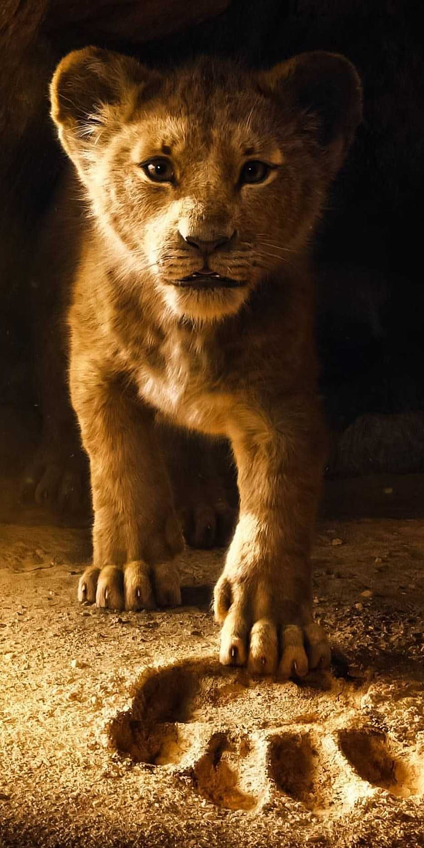 Lion King 2019 Baby, baby lion phone HD phone wallpaper | Pxfuel