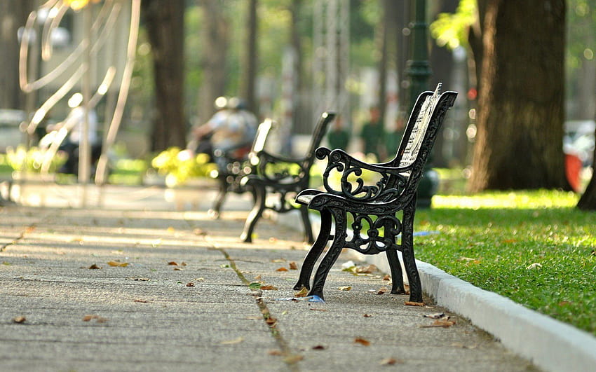 mood bench shop park square grass green leaves street backgrounds HD wallpaper