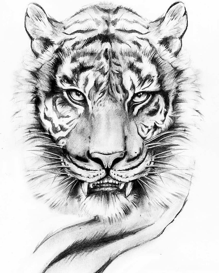 For Best Join Us @ _pluss @ _pluss @ _pluss …, tiger tattoo HD phone ...