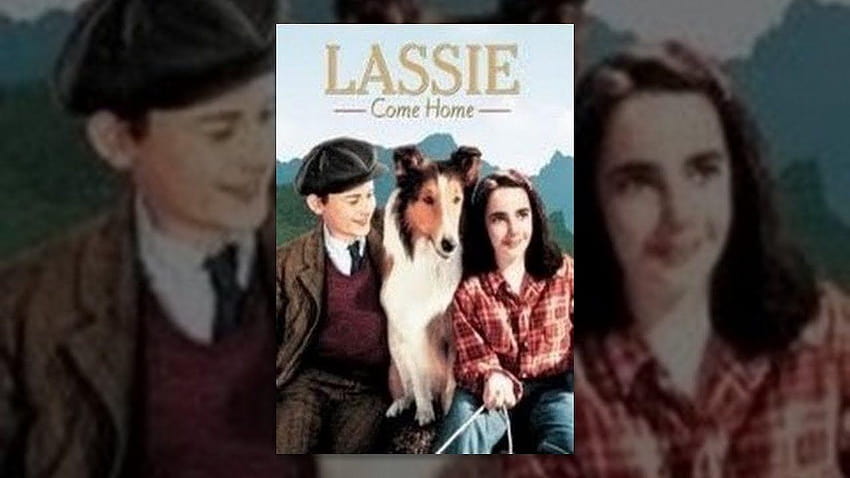 Lassie 1994 Hd Wallpaper Pxfuel