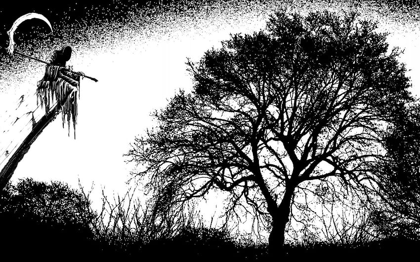Death Group, dying tree HD wallpaper