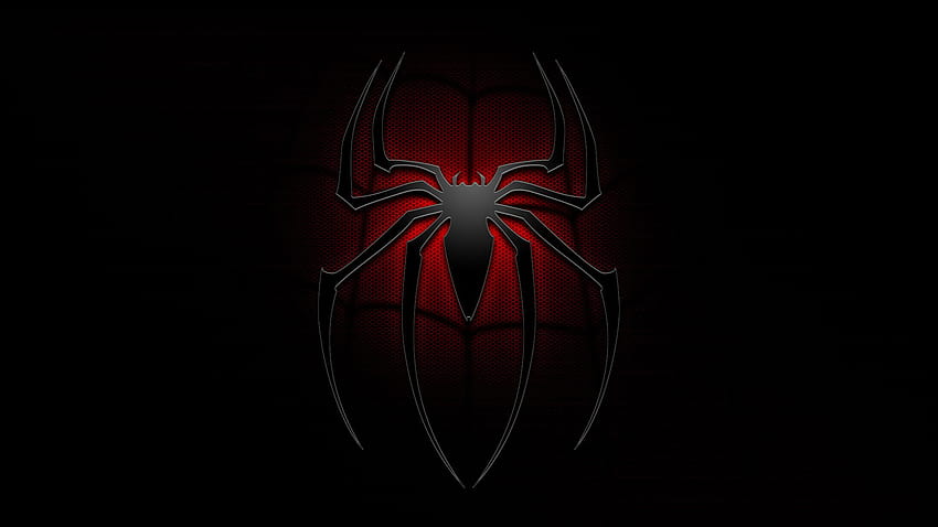 Black Spider HD wallpaper | Pxfuel