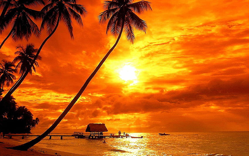 Bora Bora Tramonto tropicale Spiaggia Palme Cielo rosso Nuvole Ultra Per laptop Tablet Telefoni cellulari e TV 3840х2400 • For You For & Sfondo HD