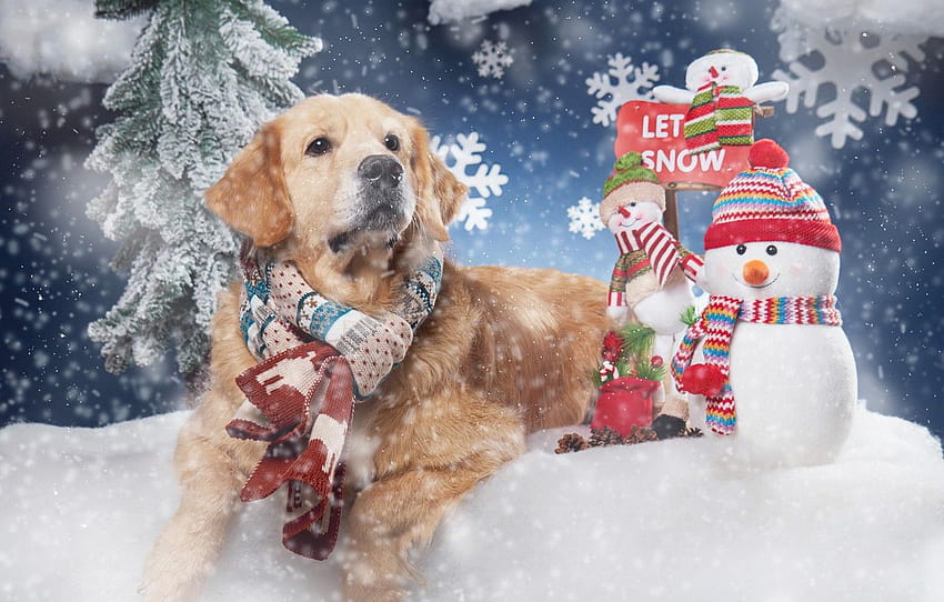 snow, snowflakes, dog, scarf, snowmen, Golden Retriever, Golden Retriever , section новый год, golden retrievers winter HD wallpaper