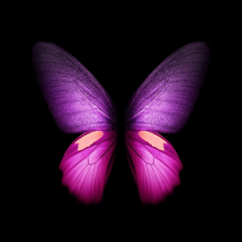 You can the Live from the Galaxy Fold right here, samsung galaxy fold HD phone wallpaper