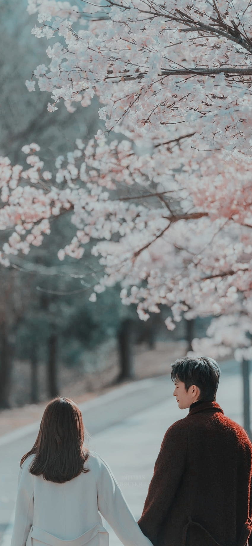 Korean drama, kdrama aesthetic HD phone wallpaper | Pxfuel
