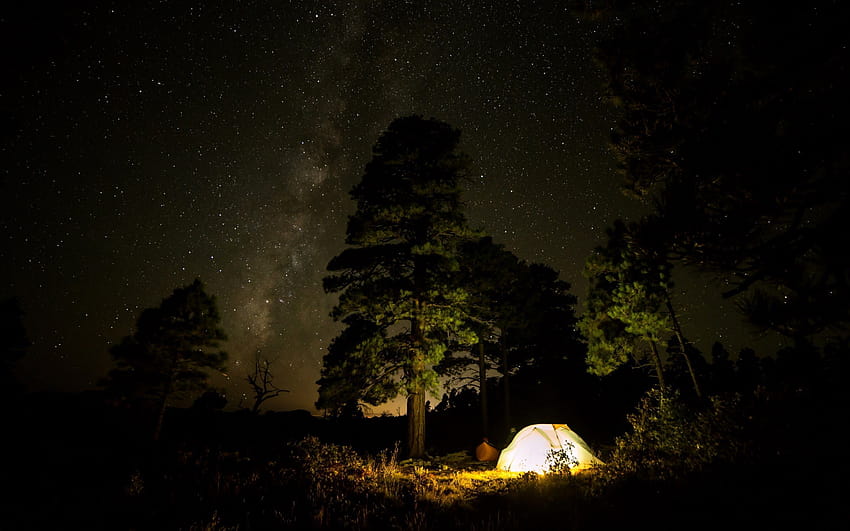 Windows 10 Night Sky Tent ... lista, campamento nocturno fondo de pantalla
