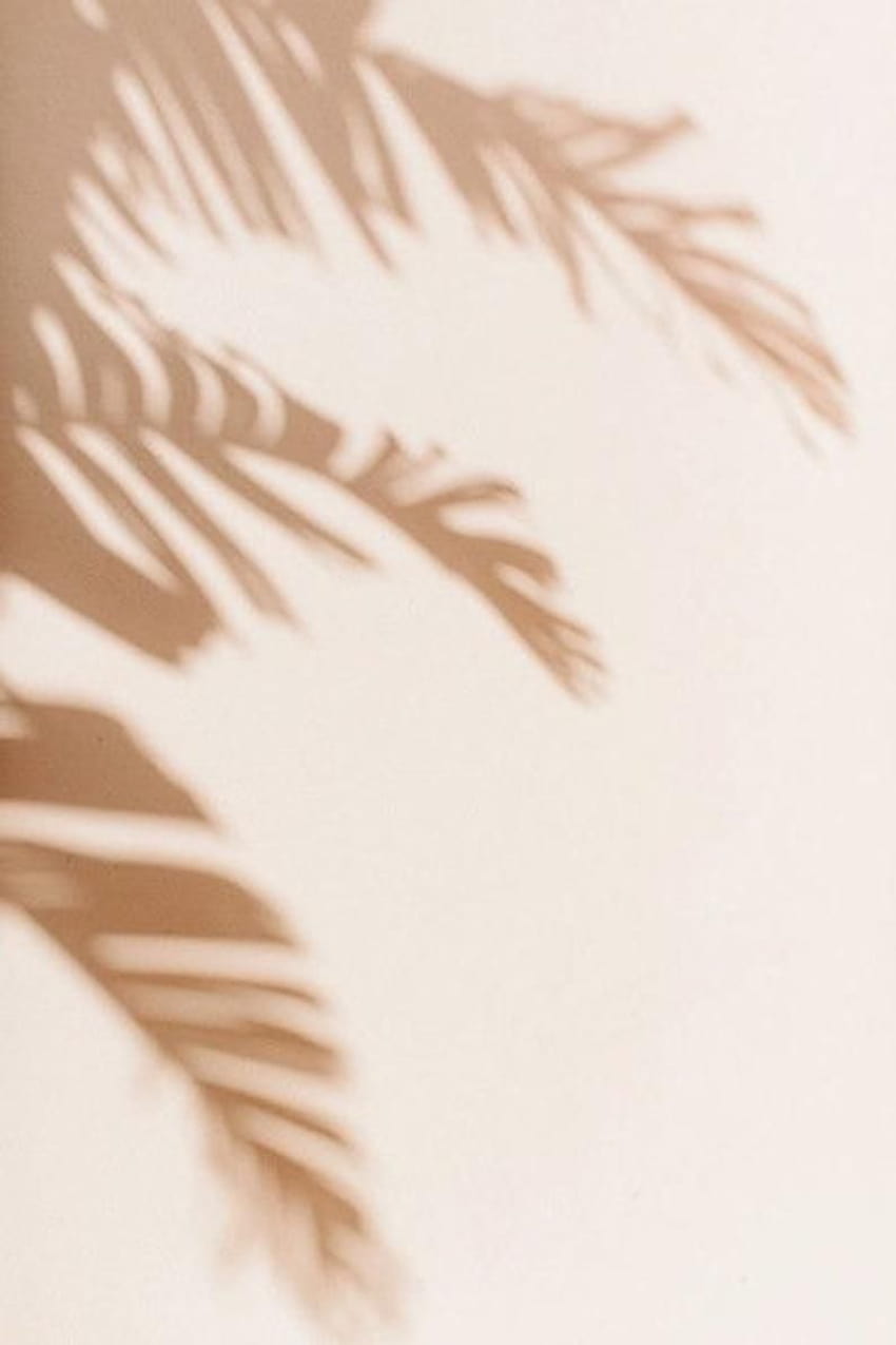 Harry Styles Kit Neutral Beige Aesthetic Wall Collage, simple beige aesthetic HD phone wallpaper