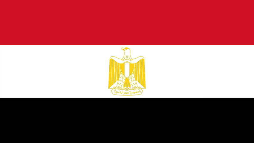 Egypt Flag, flag of egypt HD wallpaper