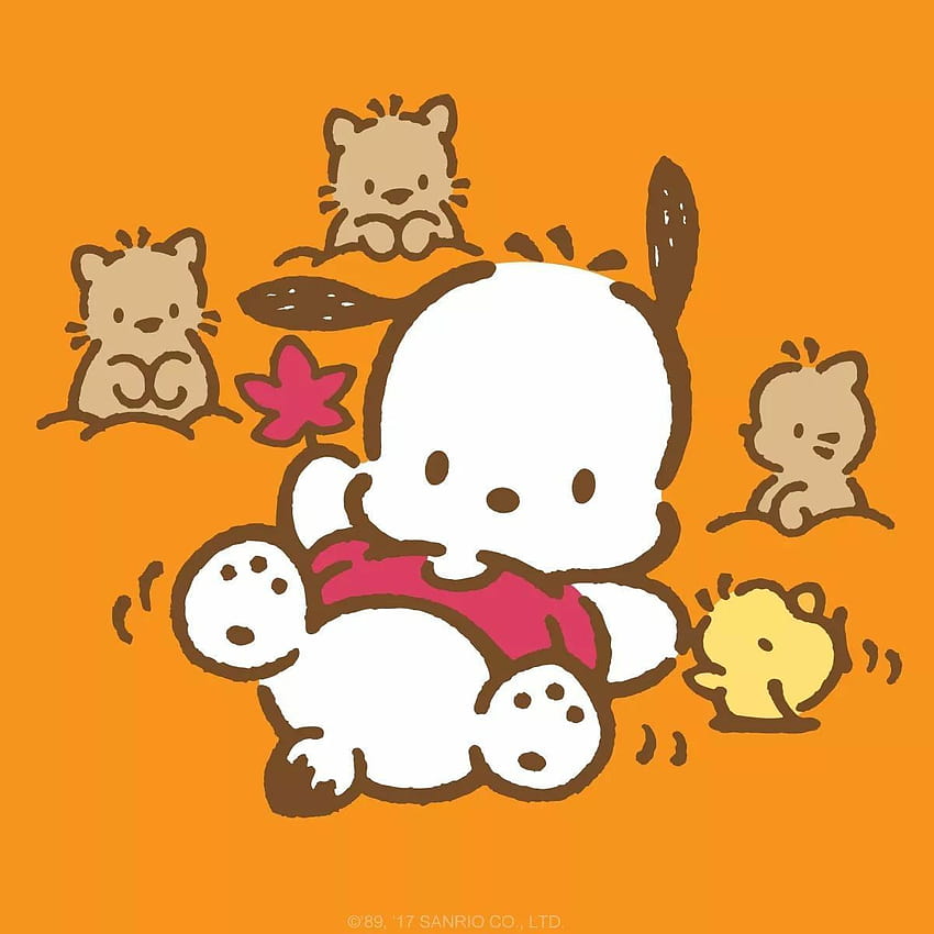 Looks like Pochacco found some autumn leaves! Happy First day of Fall!, basic autumn cartoon HD phone wallpaper