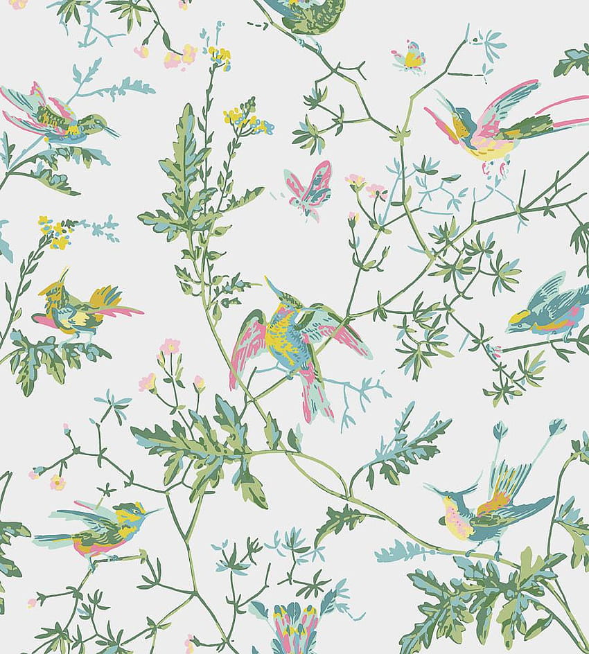 Cole  Son  Hummingbirds Wallpaper