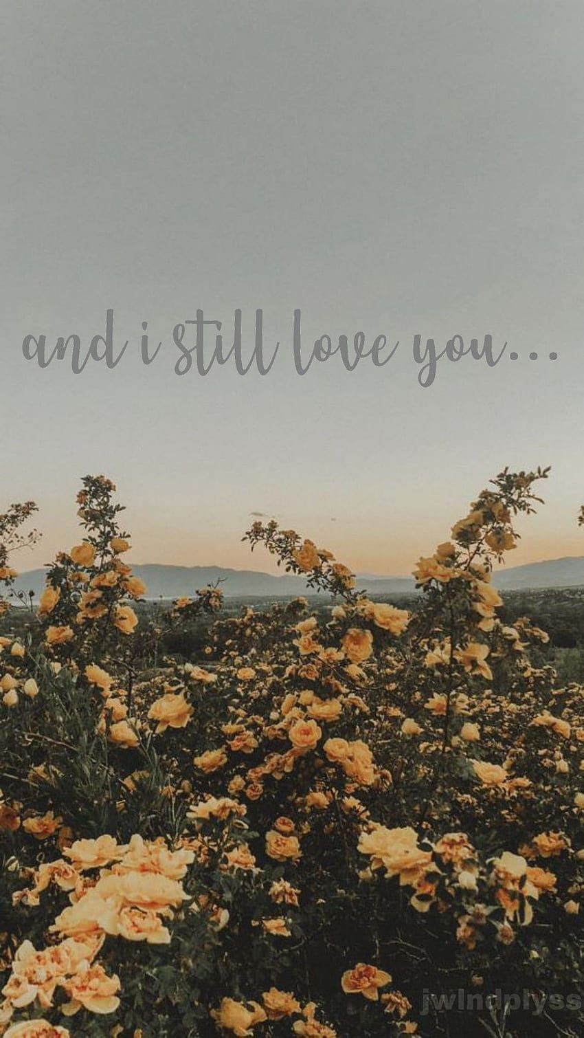 Love you aesthetic quotes HD wallpapers | Pxfuel