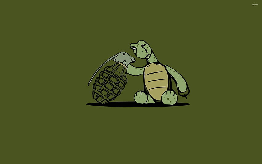 Turtle looking at a grenade, funny turtle HD wallpaper